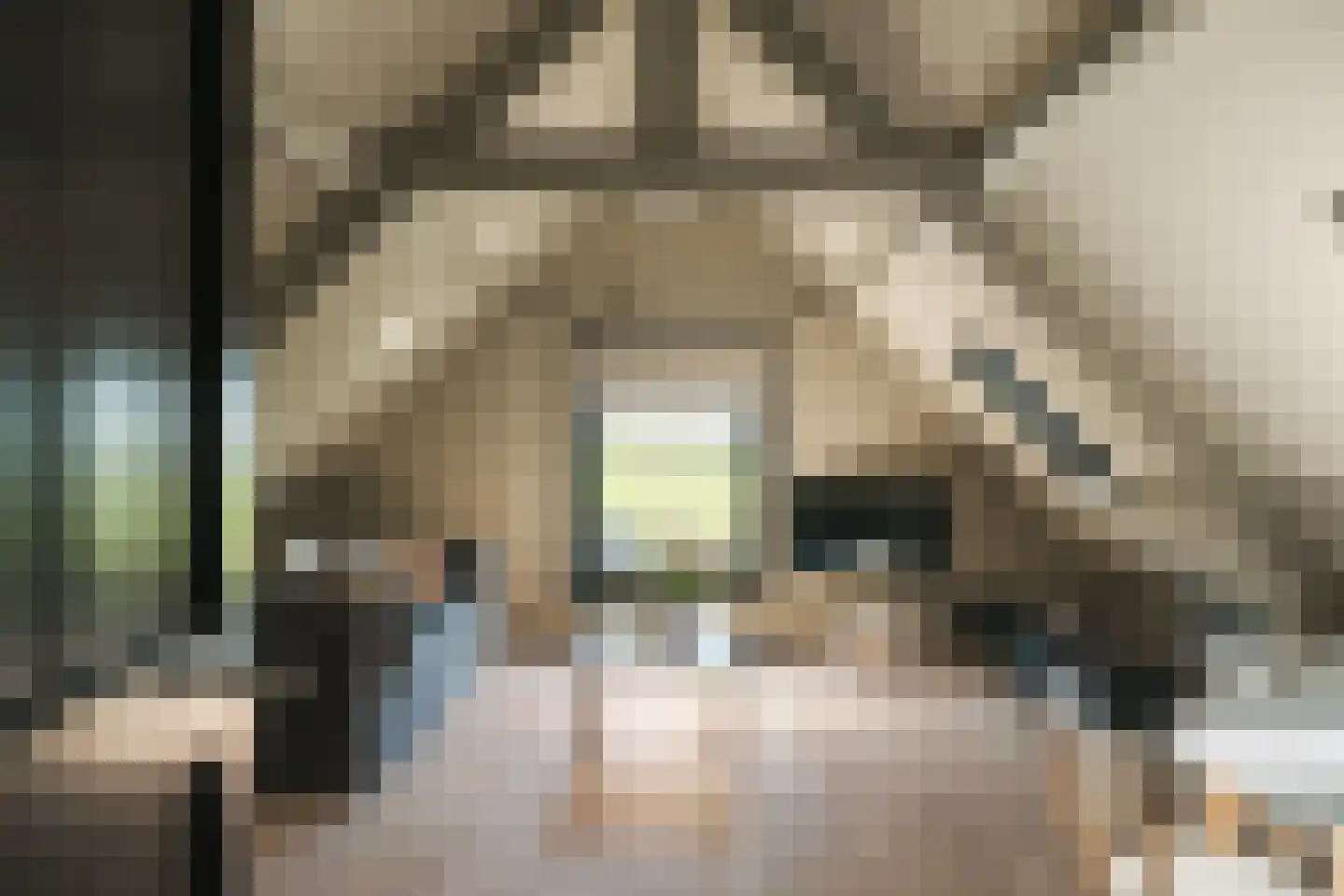 Oude Dijk 3 Abcoude thumbnail 70