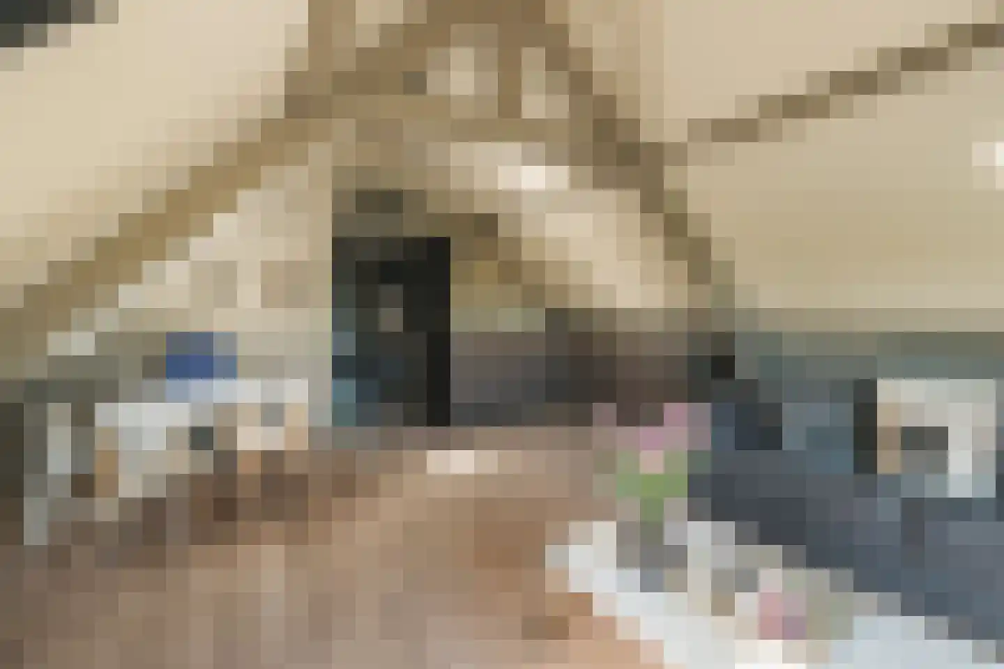 Oude Dijk 3 Abcoude thumbnail 71