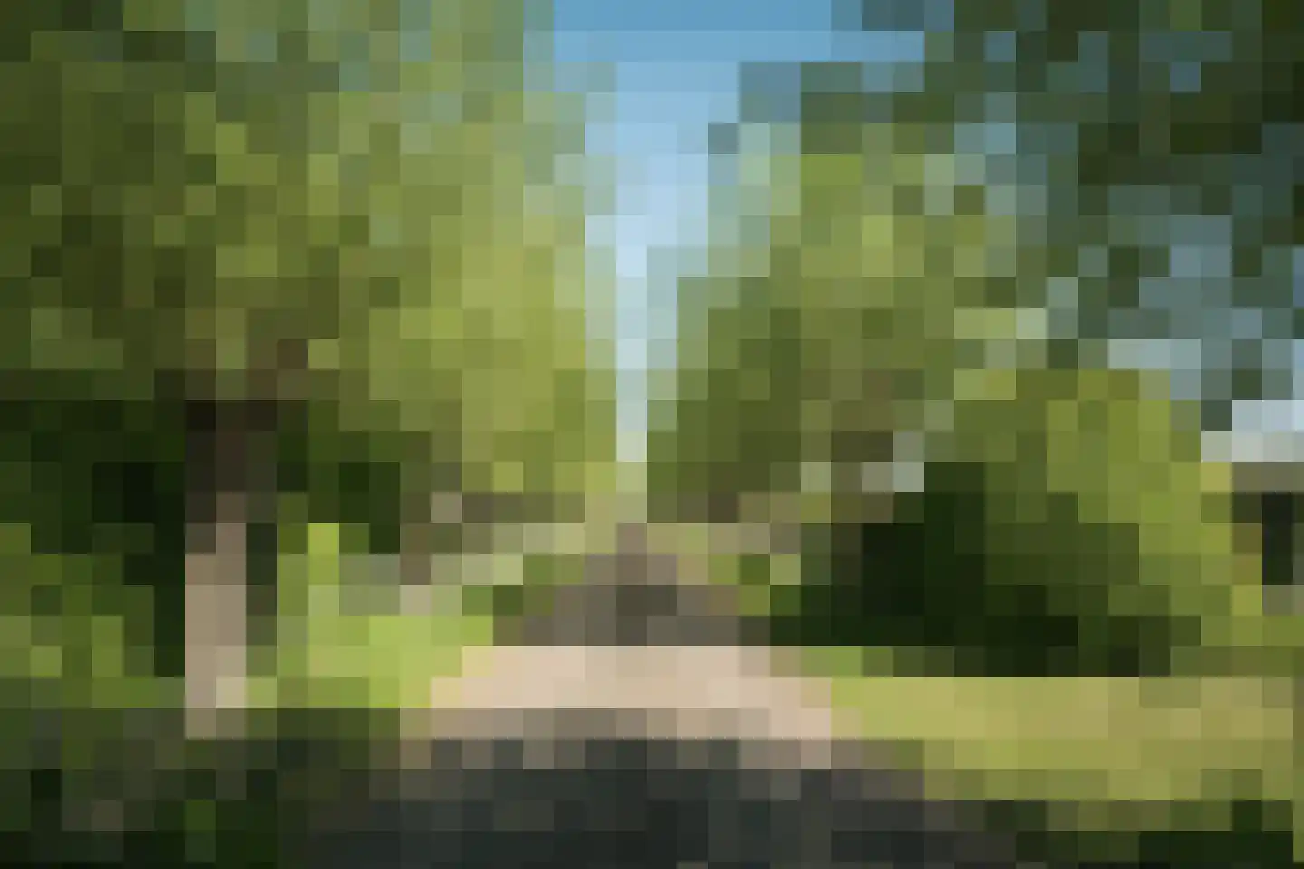 Oude Dijk 3 Abcoude thumbnail 80