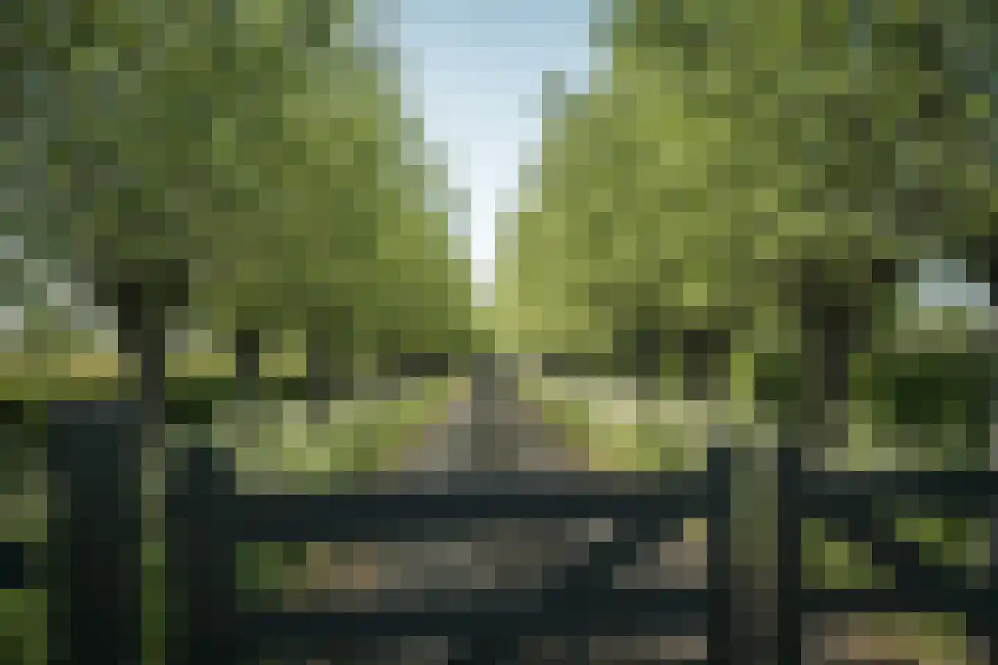 Oude Dijk 3 Abcoude thumbnail 81