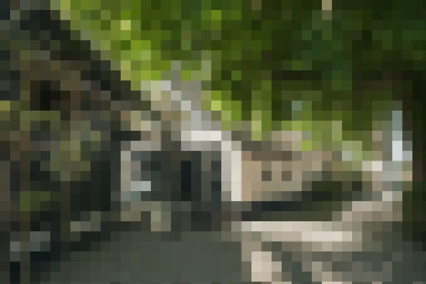 Oude Dijk 3 Abcoude thumbnail 87