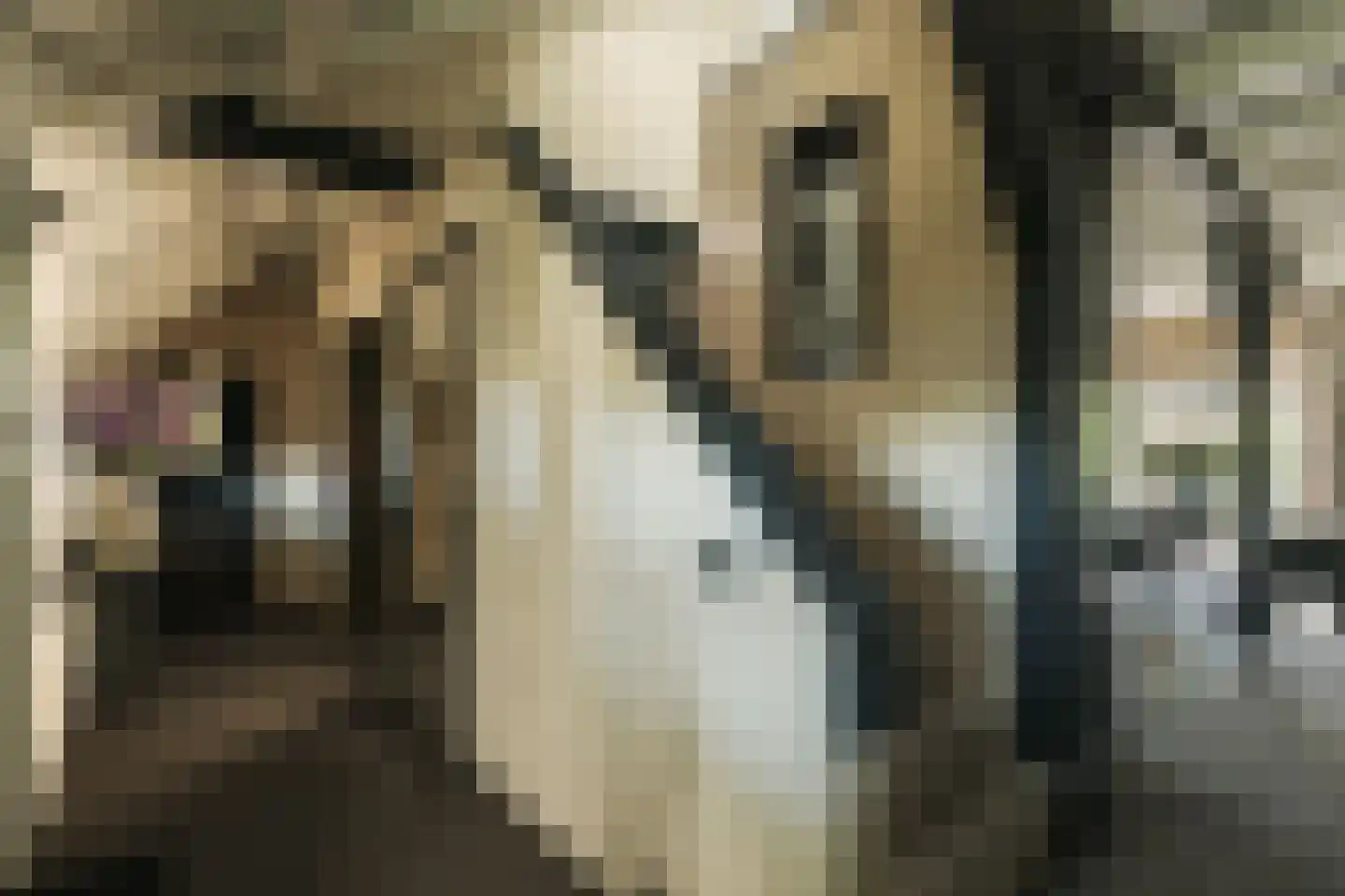 Oude Dijk 3 Abcoude thumbnail 9