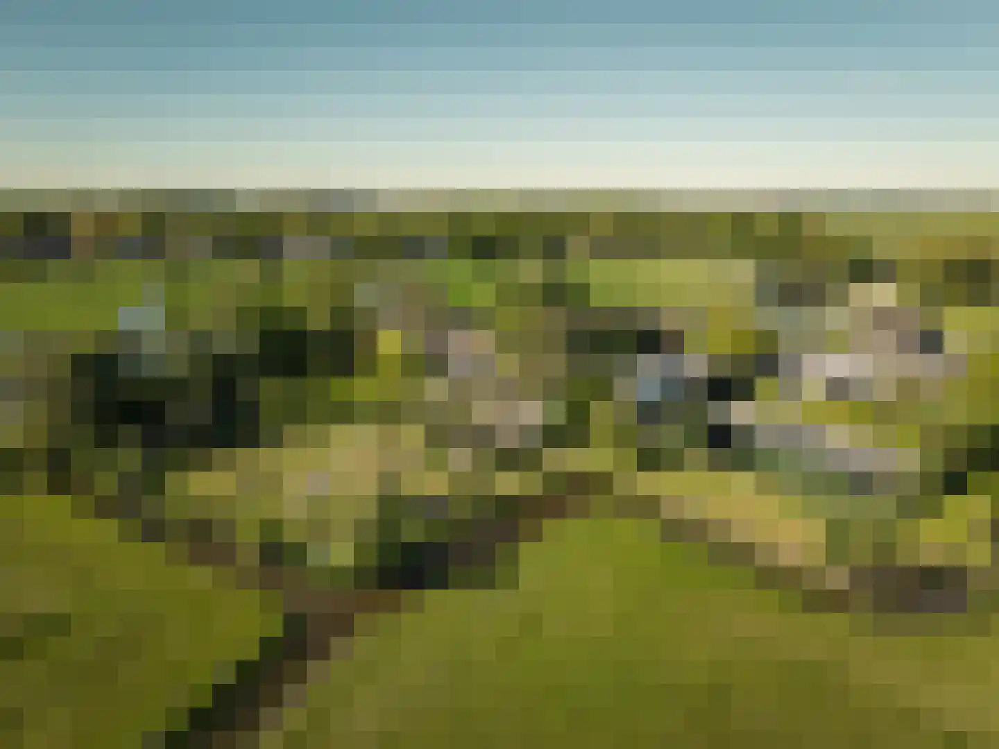 Oude Dijk 3 Abcoude thumbnail 91