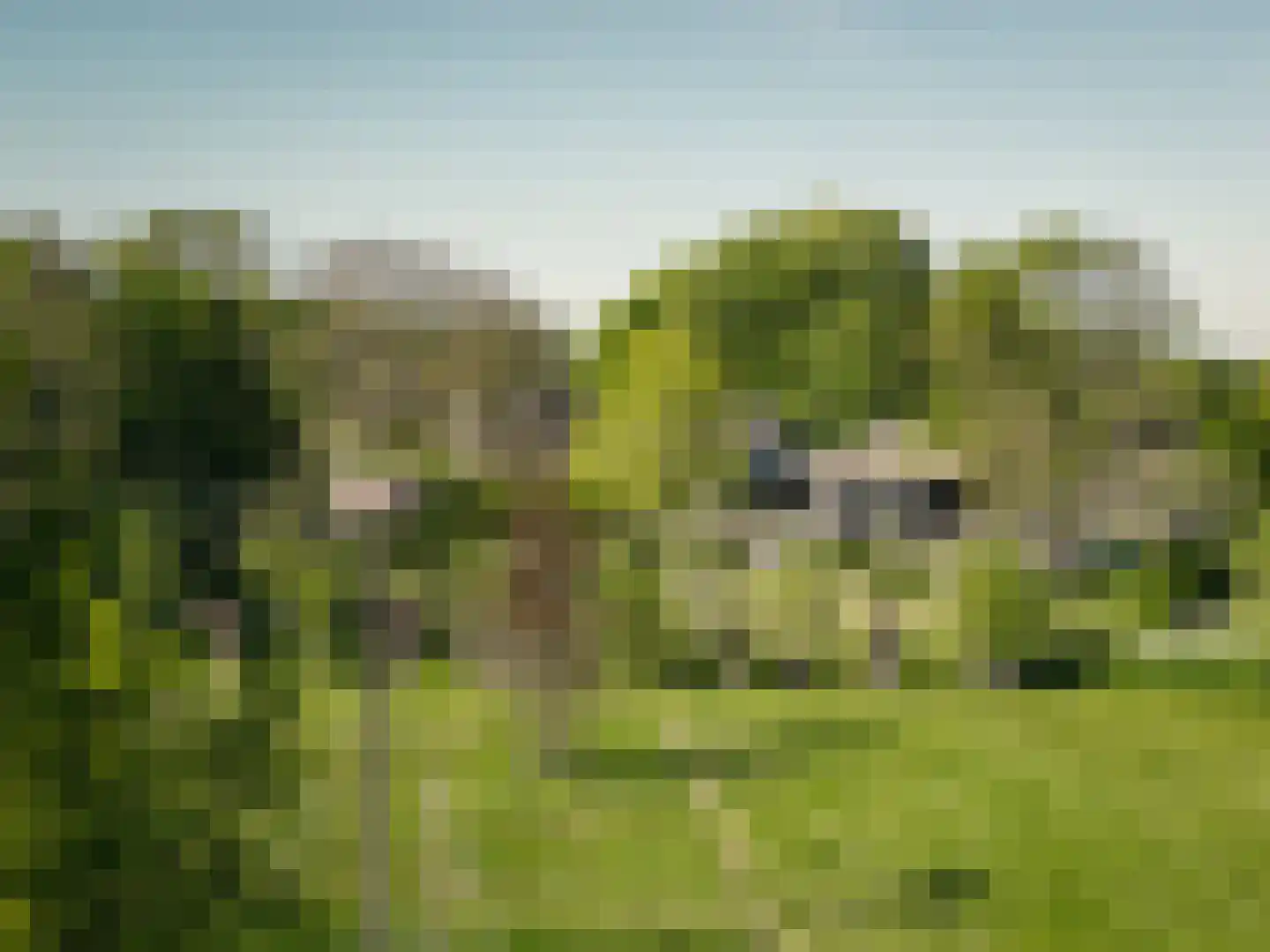 Oude Dijk 3 Abcoude thumbnail 92
