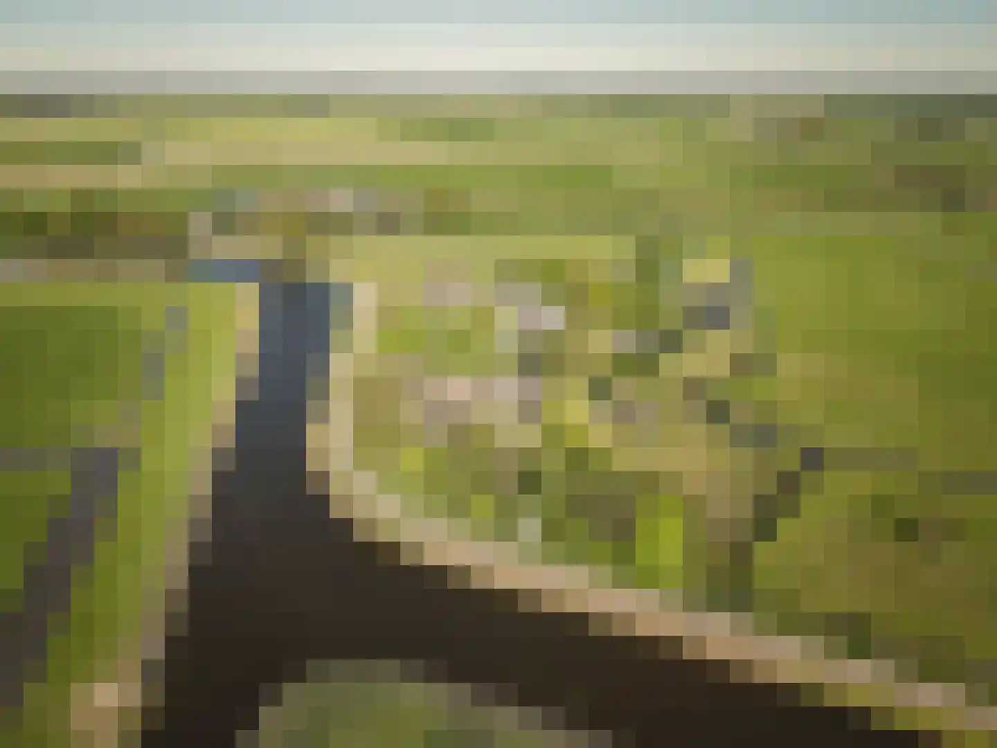 Oude Dijk 3 Abcoude thumbnail 94