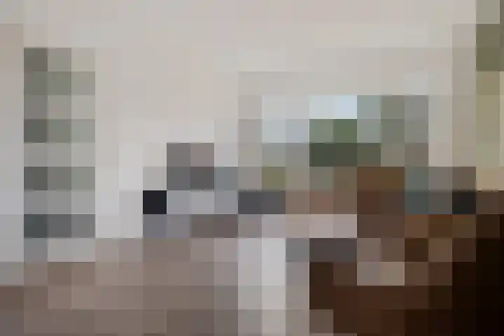 Oude Dijk 32 Zuidlaren thumbnail 10