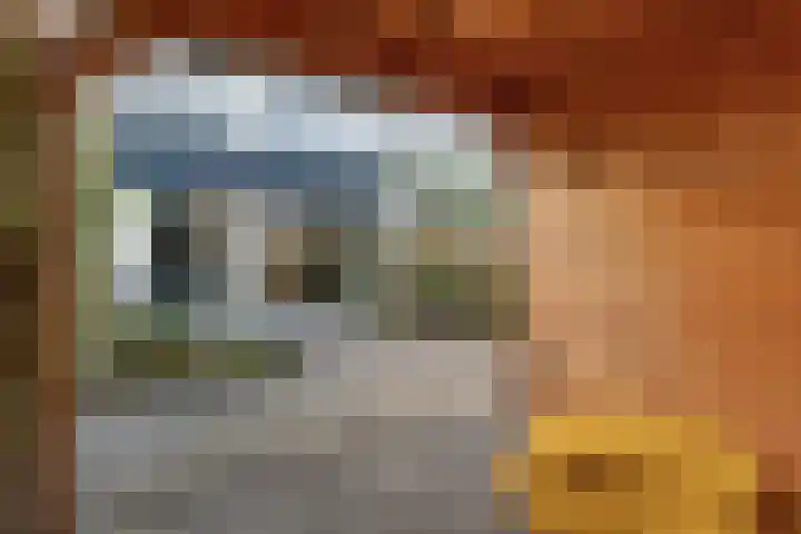 Oude Dijk 32 Zuidlaren thumbnail 29