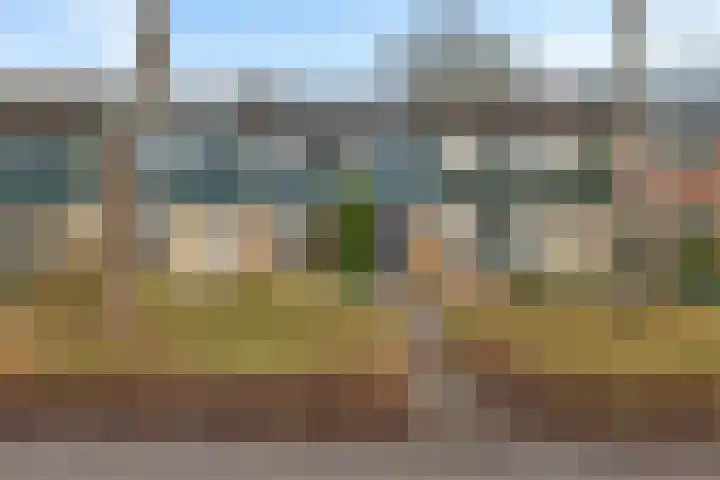 Oude Dijk 32 Zuidlaren thumbnail 4