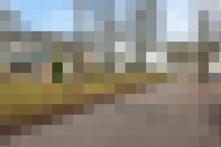 Oude Dijk 32 Zuidlaren thumbnail 5