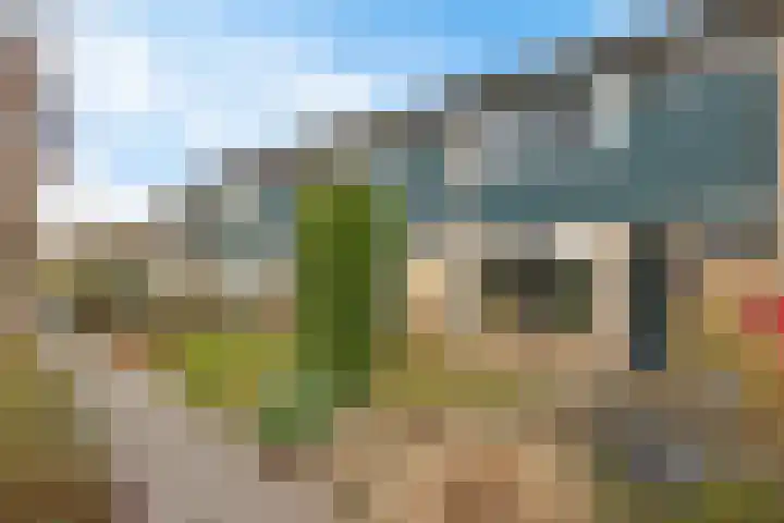 Oude Dijk 32 Zuidlaren thumbnail 6
