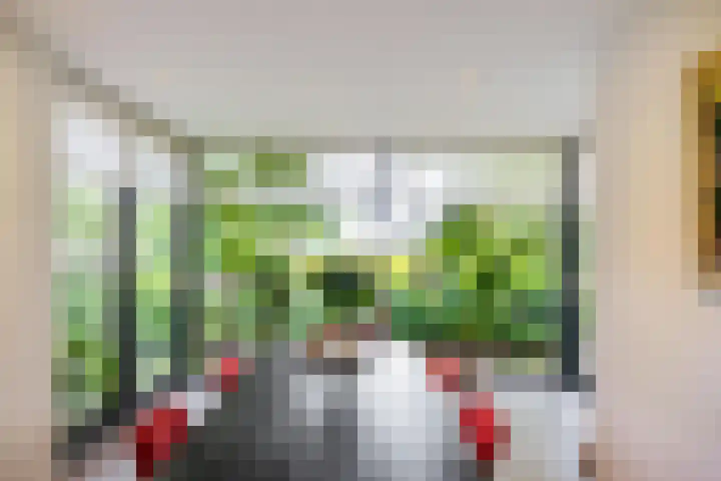 Oude Dijk 36 Zuidlaren thumbnail 18