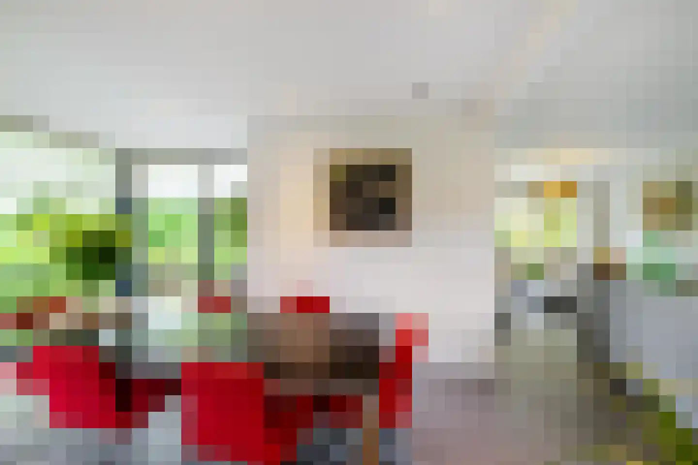 Oude Dijk 36 Zuidlaren thumbnail 20