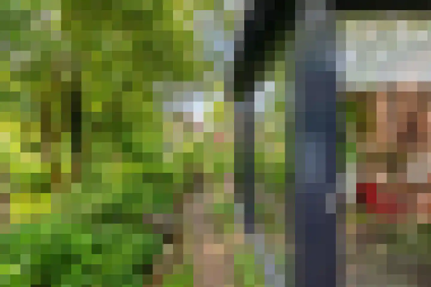 Oude Dijk 36 Zuidlaren thumbnail 24
