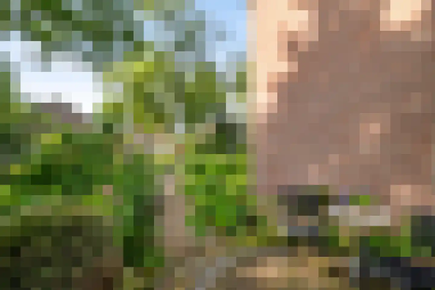 Oude Dijk 36 Zuidlaren thumbnail 25