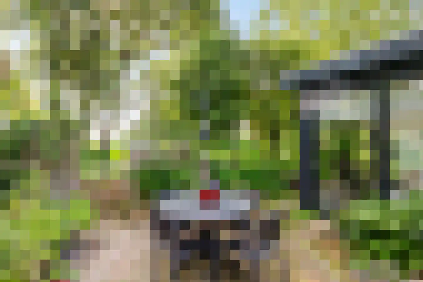 Oude Dijk 36 Zuidlaren thumbnail 26