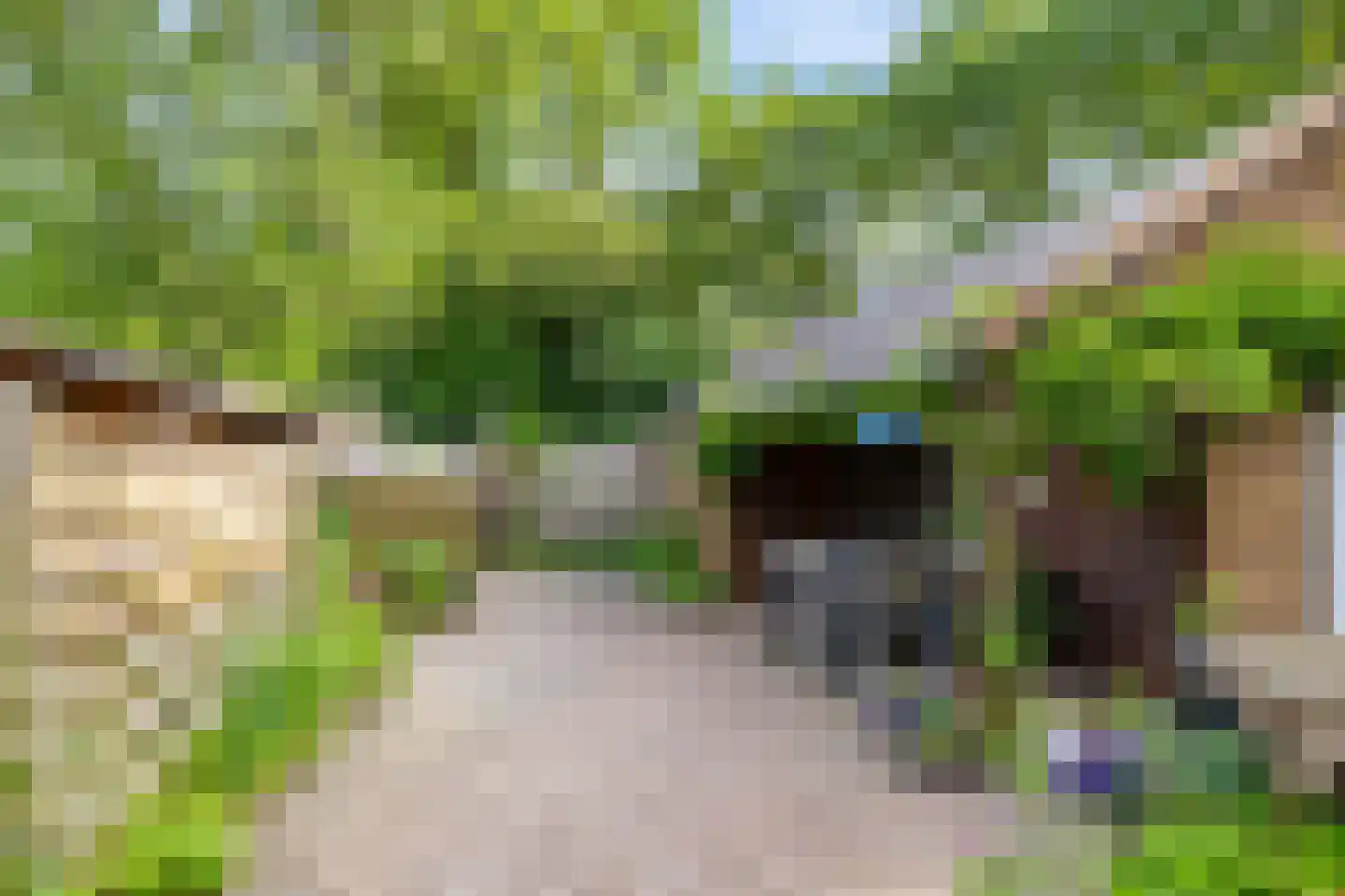 Oude Dijk 36 Zuidlaren thumbnail 29
