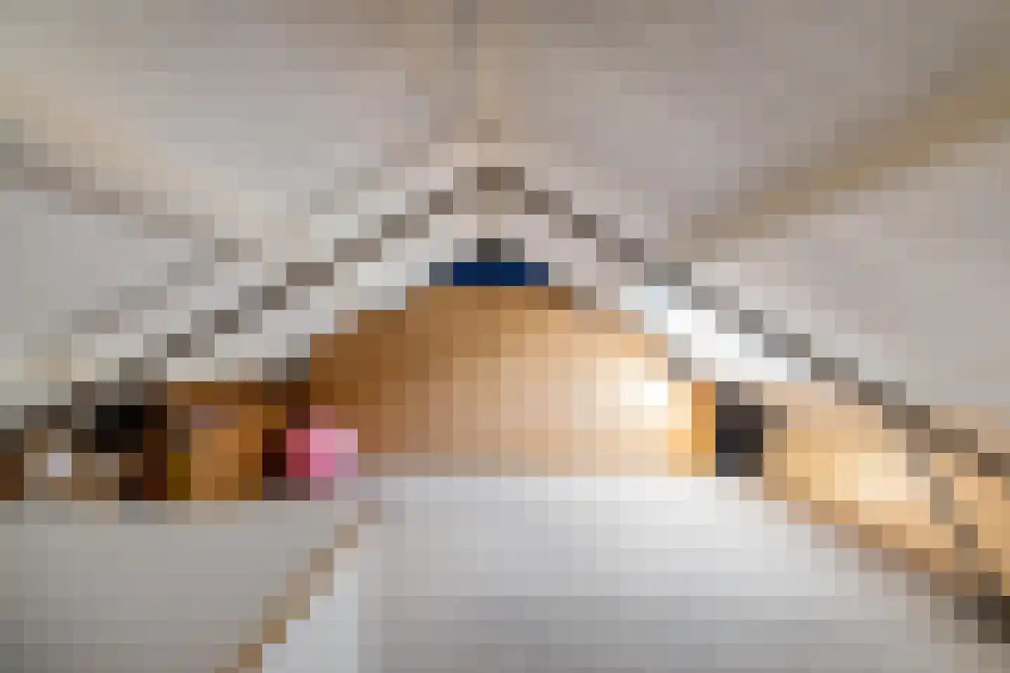 Oude Dijk 36 Zuidlaren thumbnail 44