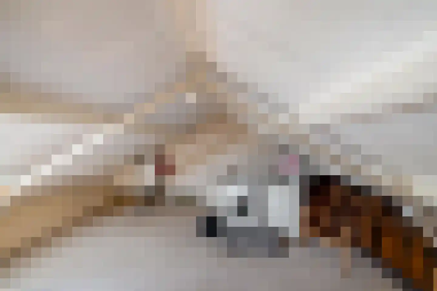 Oude Dijk 36 Zuidlaren thumbnail 45