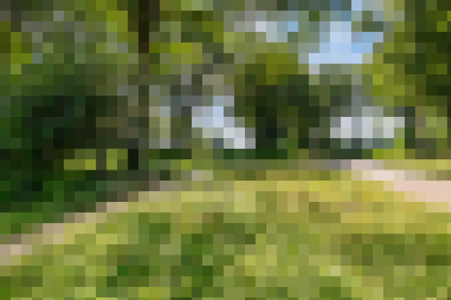 Oude Dijk 36 Zuidlaren thumbnail 46