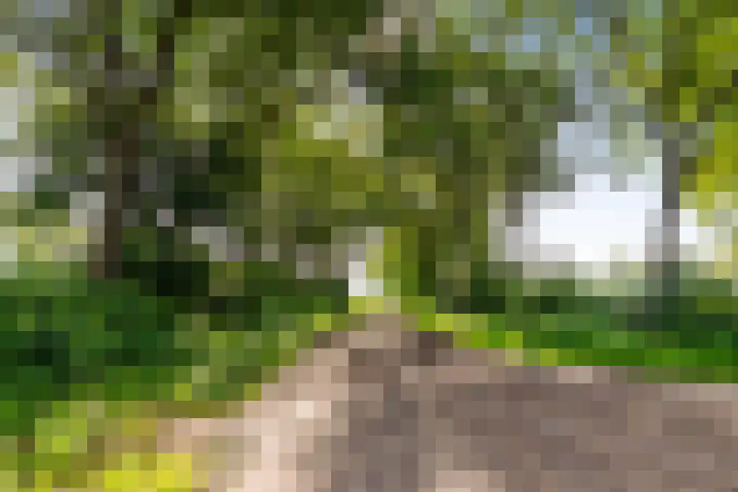 Oude Dijk 36 Zuidlaren thumbnail 47