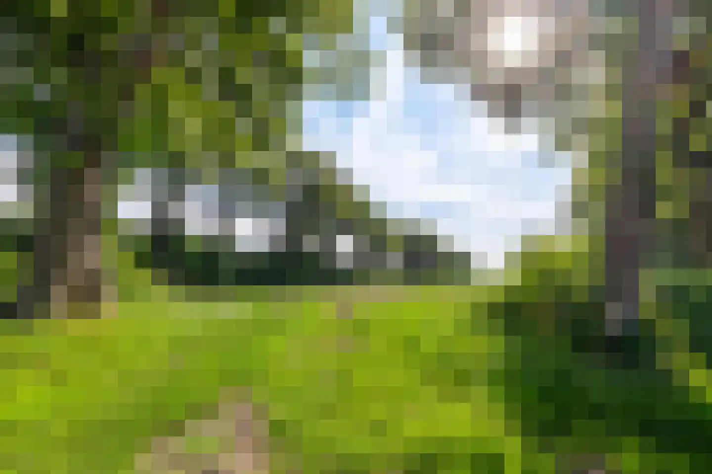 Oude Dijk 36 Zuidlaren thumbnail 48