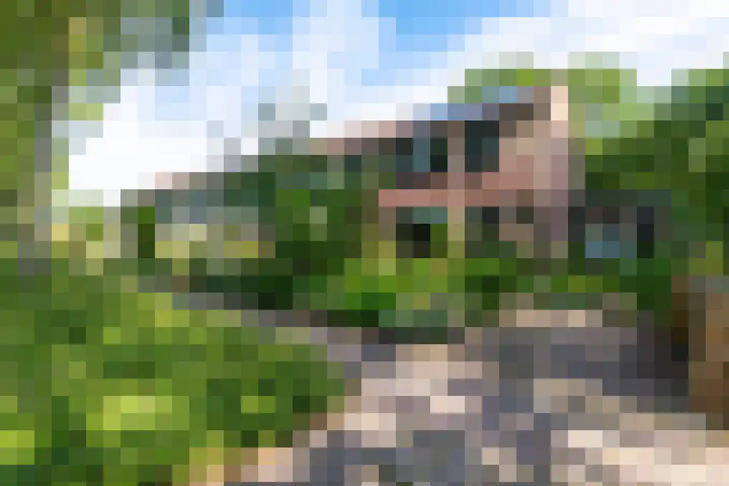 Oude Dijk 36 Zuidlaren thumbnail 8