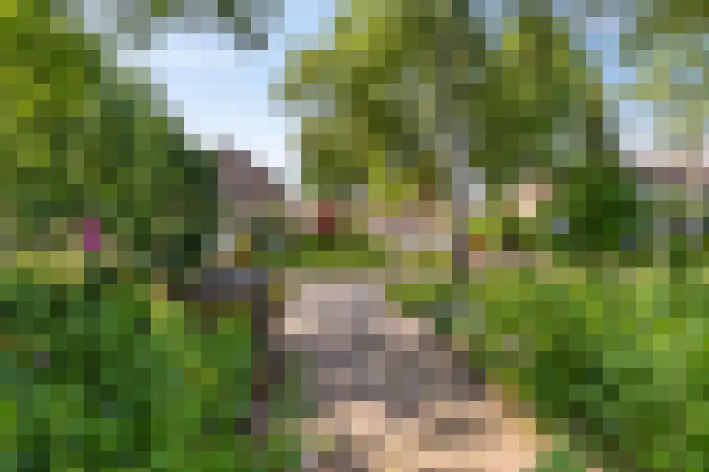 Oude Dijk 36 Zuidlaren thumbnail 9