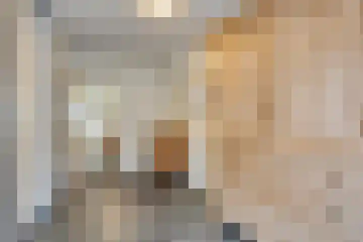 Oude Dijk 37 Liempde thumbnail 19