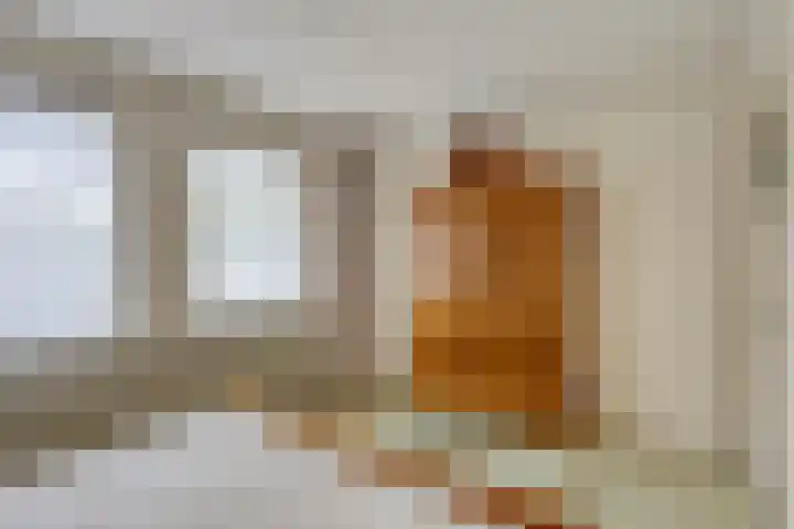 Oude Dijk 37 Liempde thumbnail 27