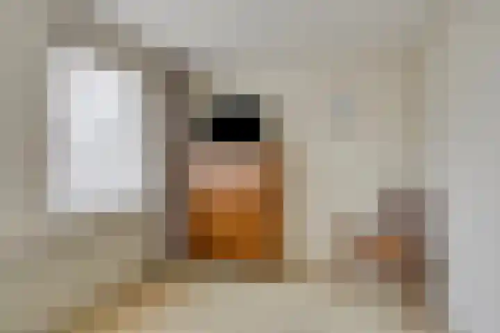 Oude Dijk 37 Liempde thumbnail 28