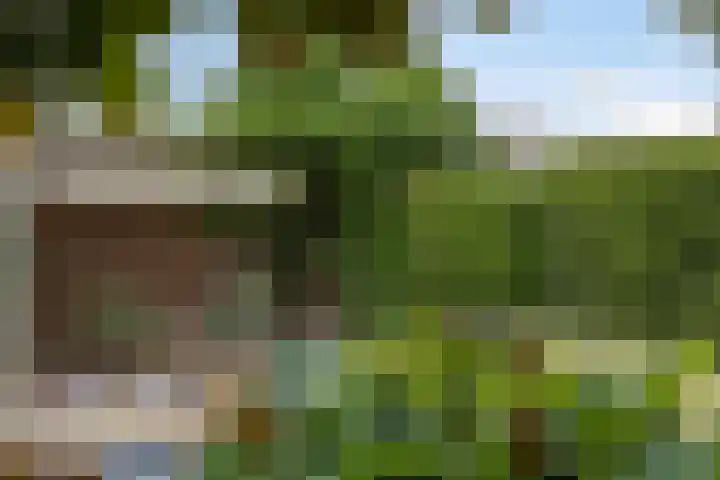 Oude Dijk 37 Liempde thumbnail 32