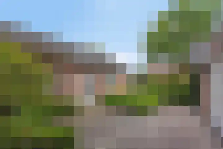 Oude Dijk 37 Liempde thumbnail 33
