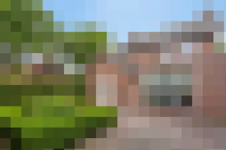 Oude Dijk 37 Liempde thumbnail 35