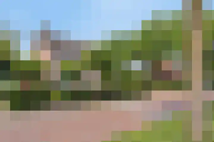Oude Dijk 37 Liempde thumbnail 39