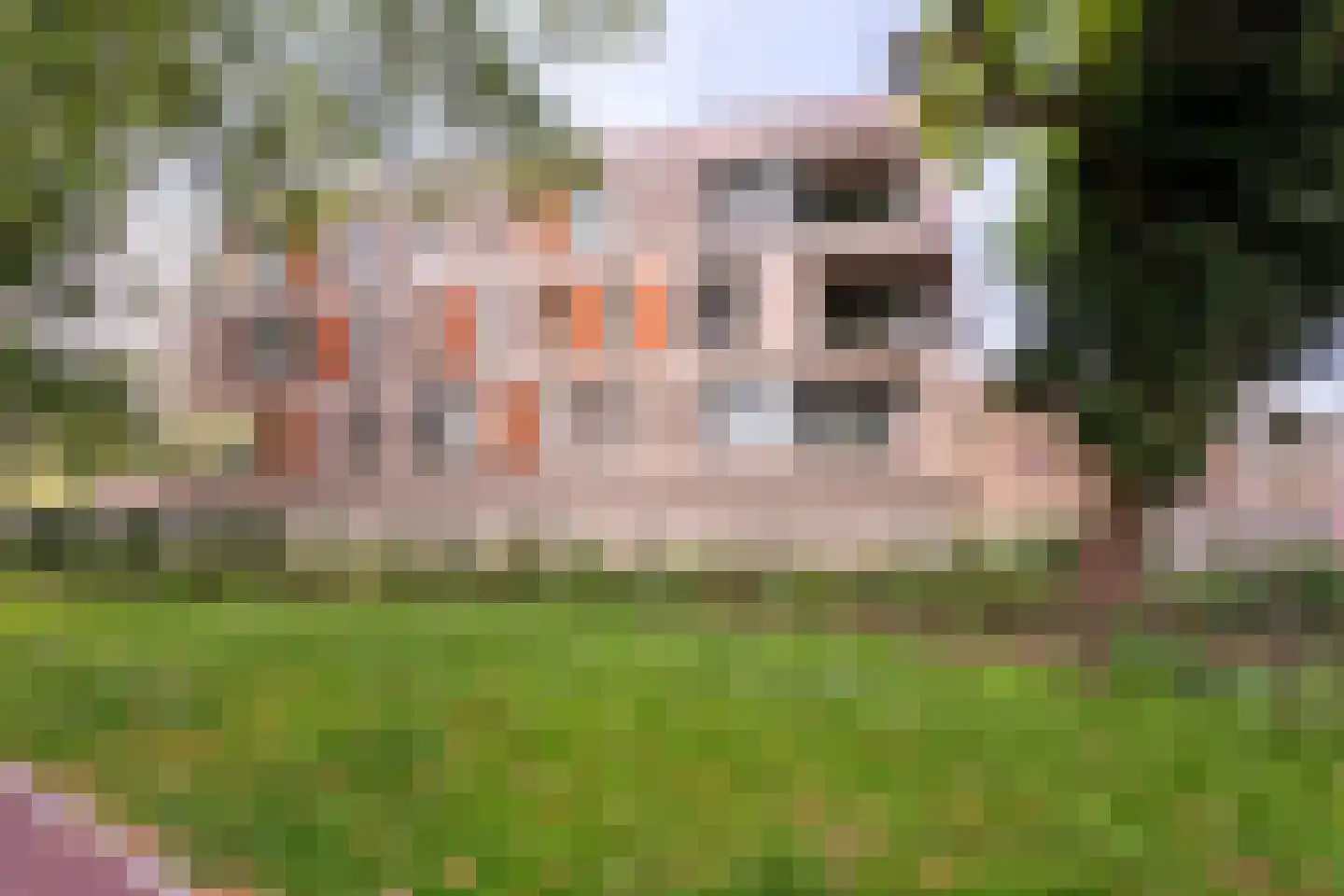 Oude Dijk 37 Tilburg thumbnail 33