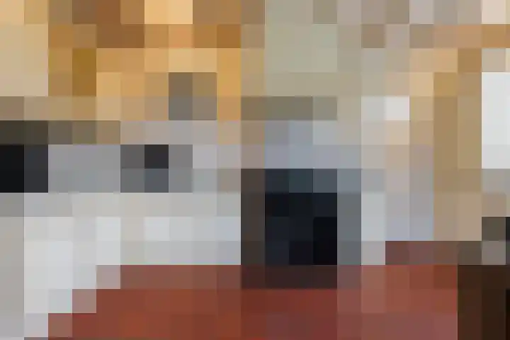 Oude Dijk 39 Liempde thumbnail 17
