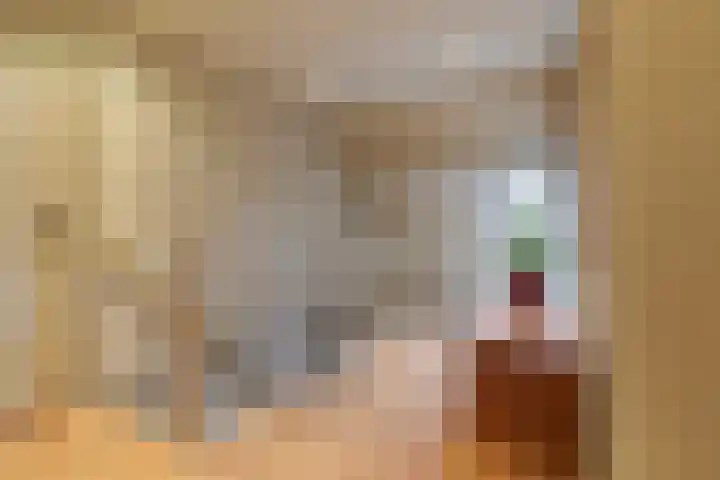 Oude Dijk 39 Liempde thumbnail 26