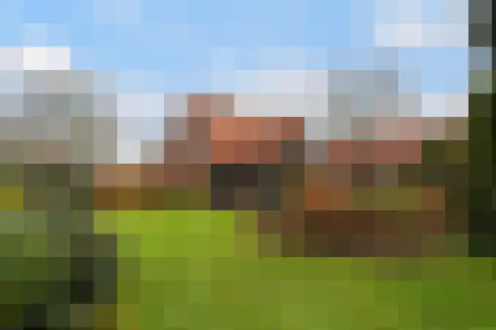 Oude Dijk 39 Liempde thumbnail 58