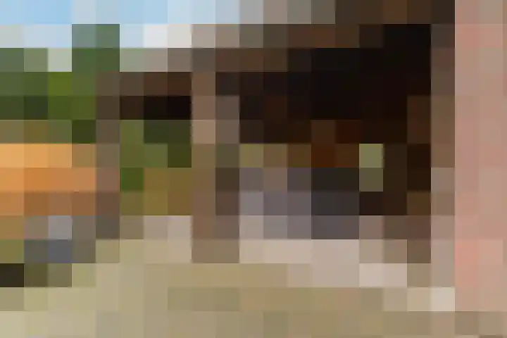 Oude Dijk 39 Liempde thumbnail 65