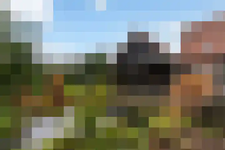 Oude Dijk 39 Liempde thumbnail 66