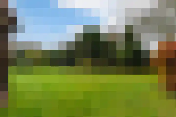Oude Dijk 39 Liempde thumbnail 68