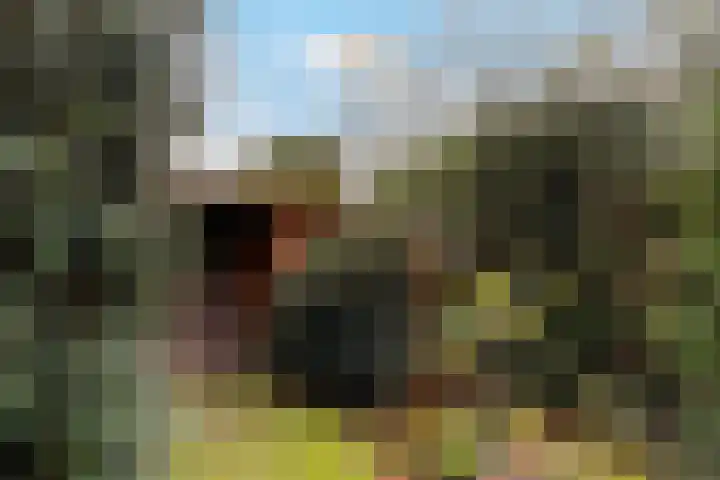 Oude Dijk 39 Liempde thumbnail 69