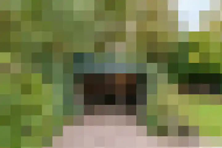 Oude Dijk 40 Liempde thumbnail 29