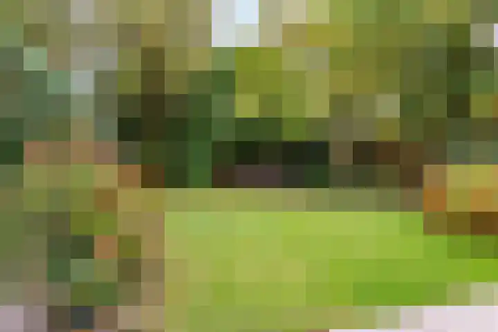 Oude Dijk 40 Liempde thumbnail 30