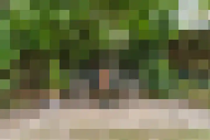 Oude Dijk 40 Liempde thumbnail 31