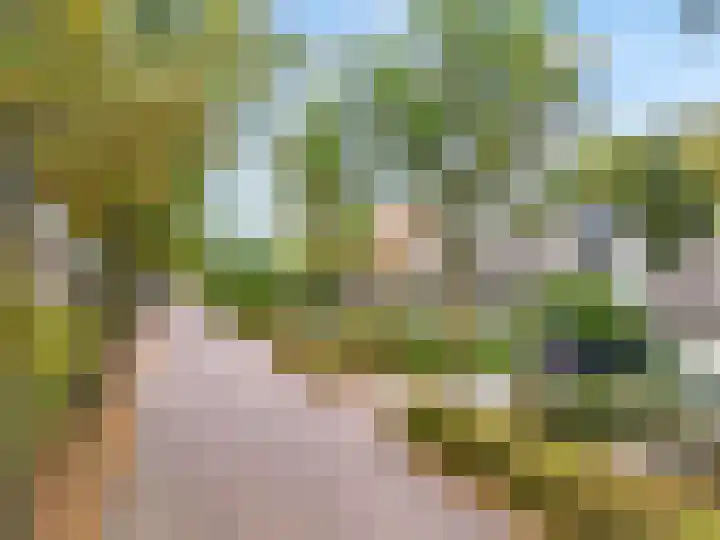 Oude Dijk 40 Liempde thumbnail 32