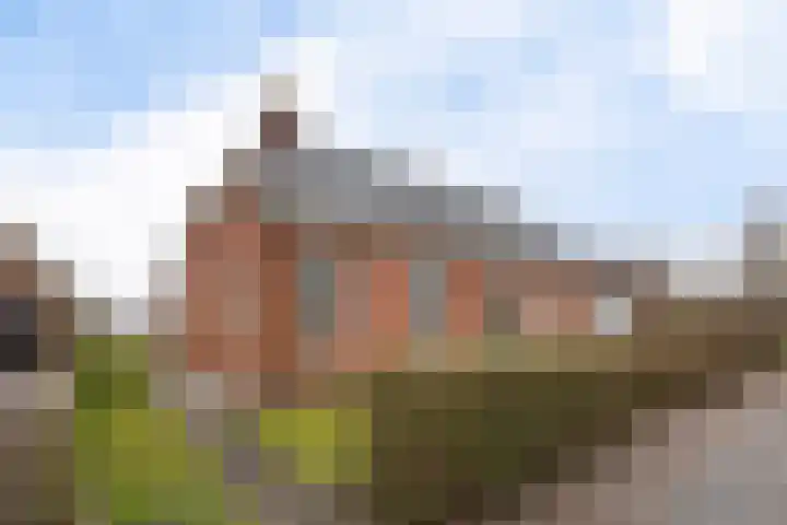 Oude Dijk 49 Den Andel