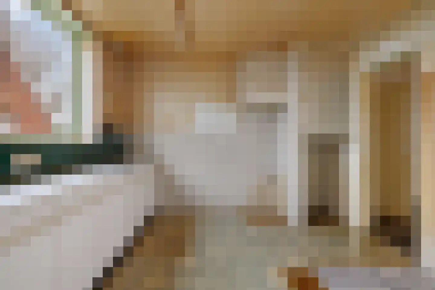 Oude Dijk 49 Den Andel thumbnail 10