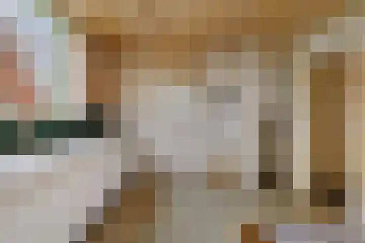 Oude Dijk 49 Den Andel thumbnail 10