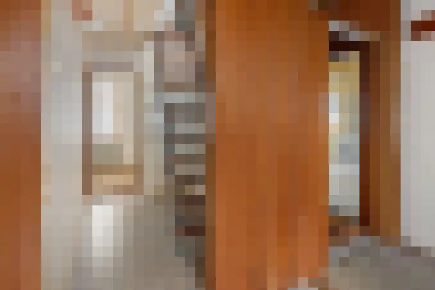 Oude Dijk 49 Den Andel thumbnail 24